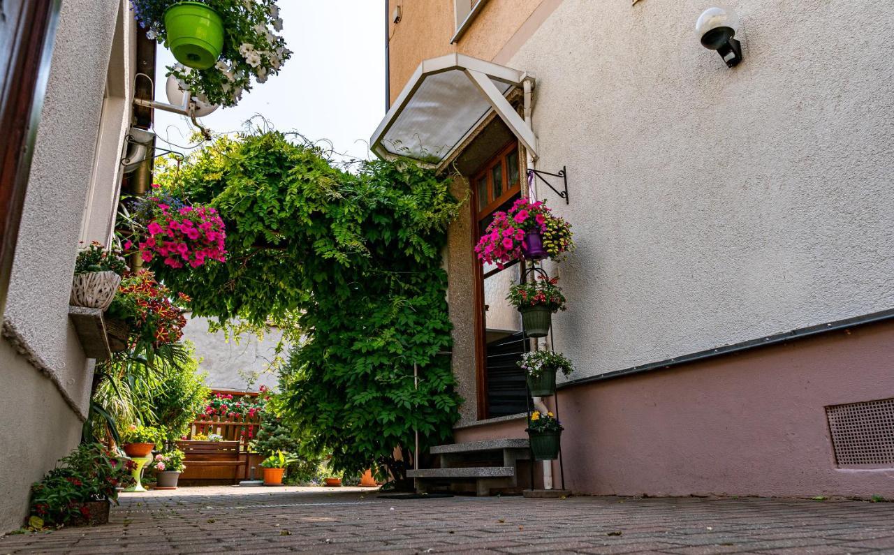 Pension Borna Zewnętrze zdjęcie